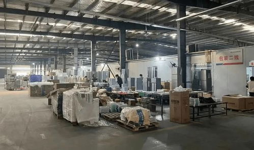 95后小宇宙的能量 做传统小家电一年销售近百万美金